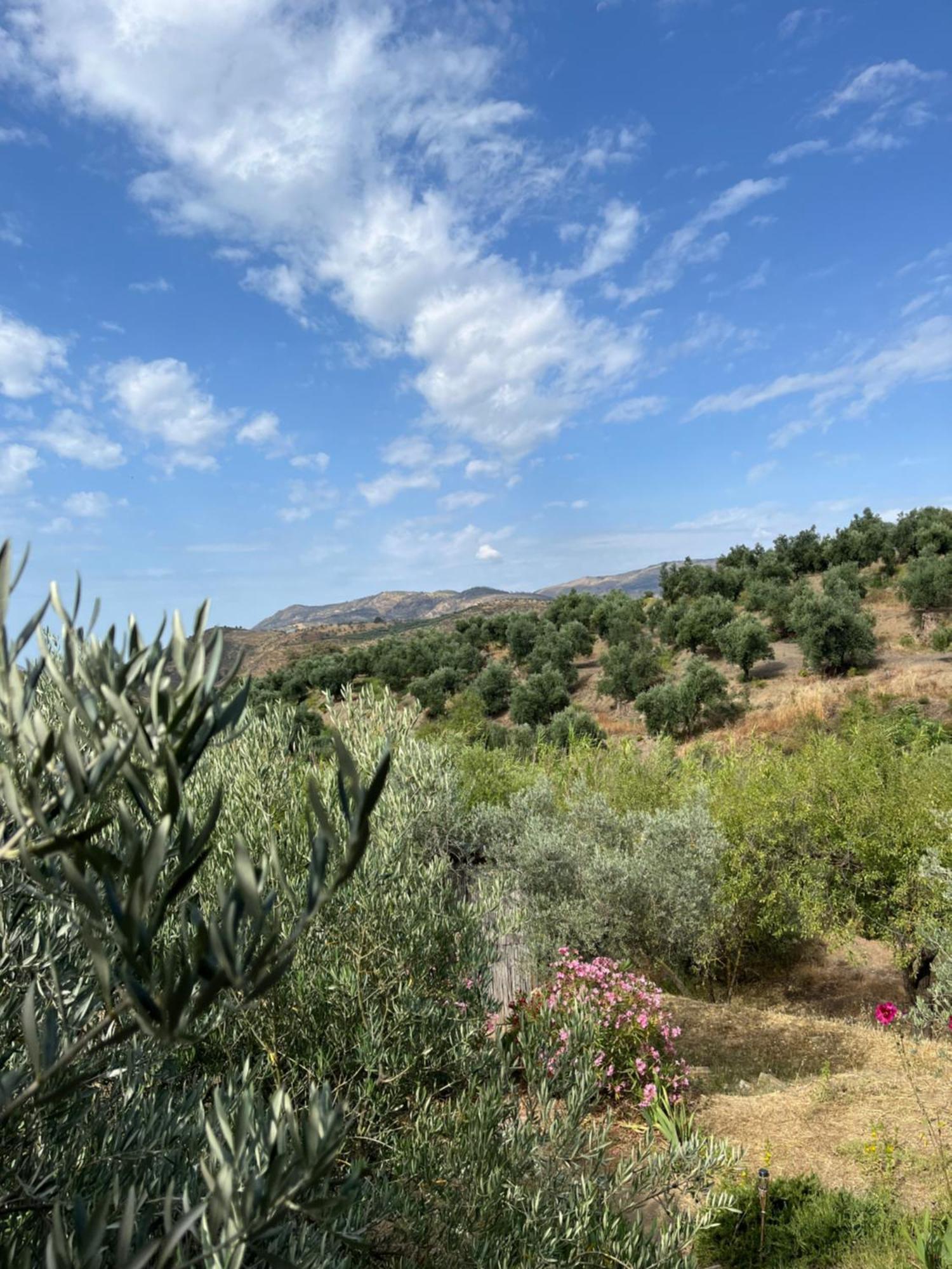 Cortijo Alhijra Big Yourte Lanjarón Zewnętrze zdjęcie